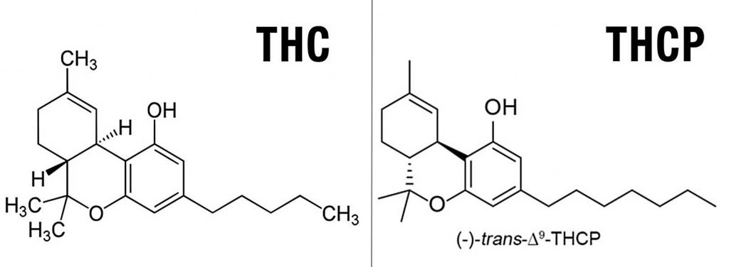 Odkryto Związek Silniejszy od THC, Narkus