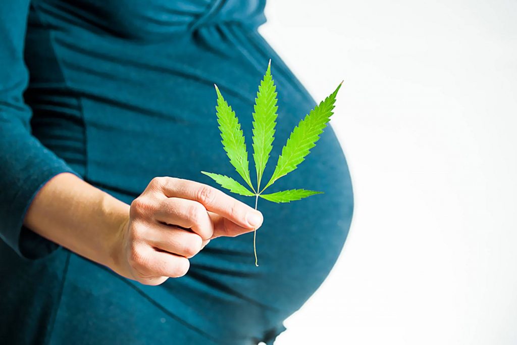 Zalety i Wady Zażywania Marihuany Podczas Ciąży, Narkus